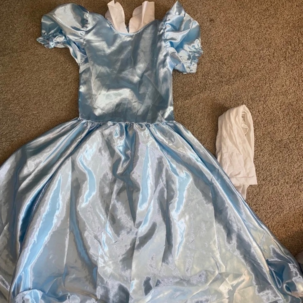 Disney Alice in wonderland costume Halloween
